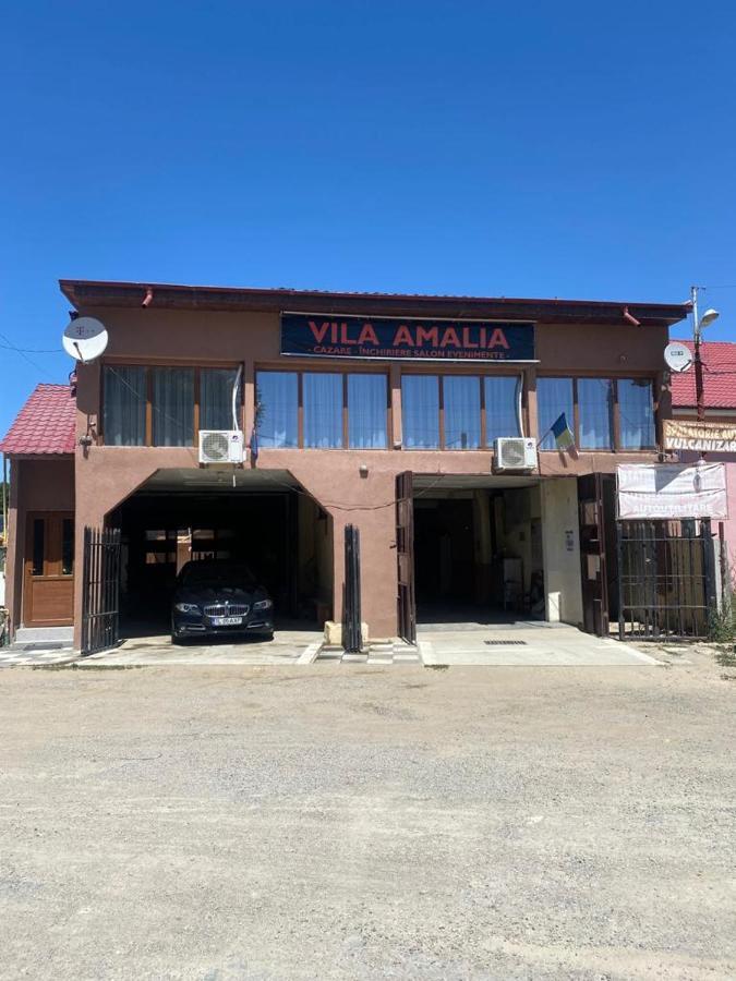 Vila Amalia Muntii Macinului Exterior foto